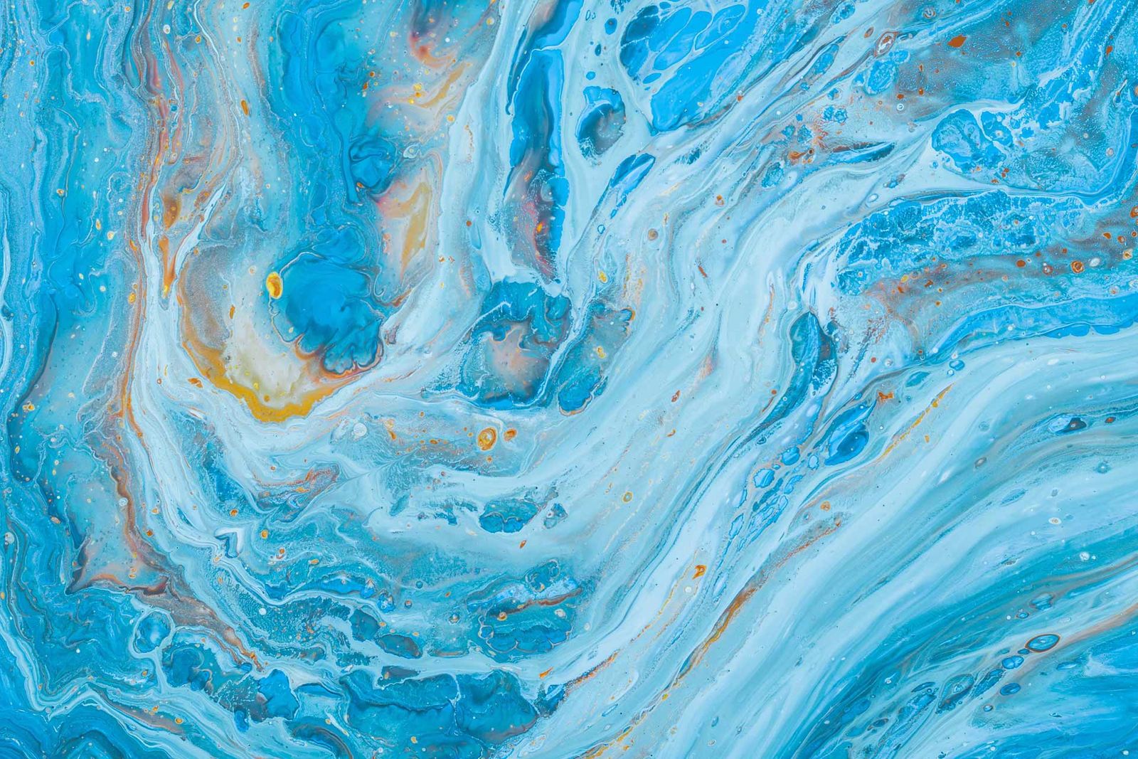 NS Courtage - Courtier à Rennes