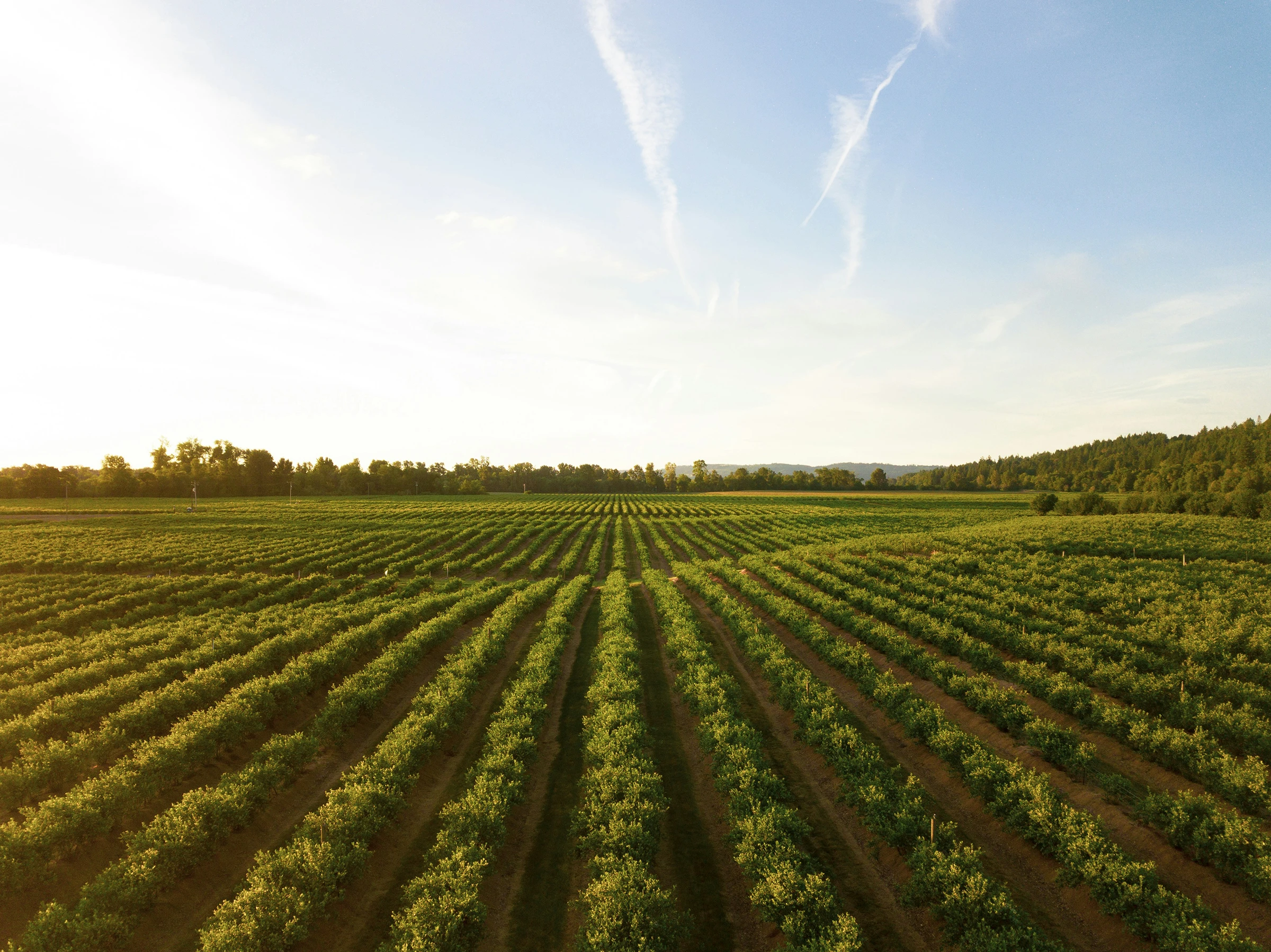 Courtier agricole – Favoriser le développement de votre activité